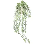 ΚΡΕΜΑΣΤΟΣ ΘΑΜΝΟΣ ΕΥΚΑΛΥΠΤΟΣ ΠΡΑΣΙΝΟ ΣΕ ΚΑΣΠΩ - Y70cm 18/KIB