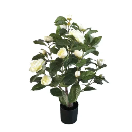 ΔΕΝΤΡΟ ΚΑΜΕΛΙΑ ΡΟΖ ΣΕ ΓΛΑΣΤΡΑ - Y75cm 4/KIB