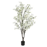 ΔΕΝΤΡΟ ΚΡΑΝΙΑ ΛΕΥΚΟ ΣΕ ΓΛΑΣΤΡΑ - Y165cm 2/KIB