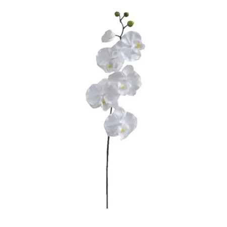 ΚΛΑΔΙ ΟΡΧΙΔΕΑ ΛΕΥΚΟ Y72cm. 36/432ΚΙΒ