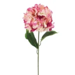 ΚΛΑΔΙ ΟΡΤΑΝΣΙΑ ΦΟΥΞ  Y74cm 18/144KIB