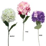 ΚΛΑΔΙ ΟΡΤΑΝΣΙΑ ASS (3 ΧΡΩΜΑΤΑ) Y74cm 18/144KIB