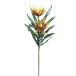 FOAM ΠΟΡΤΟΚΑΛΙ ΛΙΛΥ Y95cm. 12/120ΚΙΒ