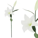 ΚΛΑΔΙ ΛΙΛΙΟΥΜ ΛΕΥΚΟ REAL TOUCH 15x68cm. 24/288KIB