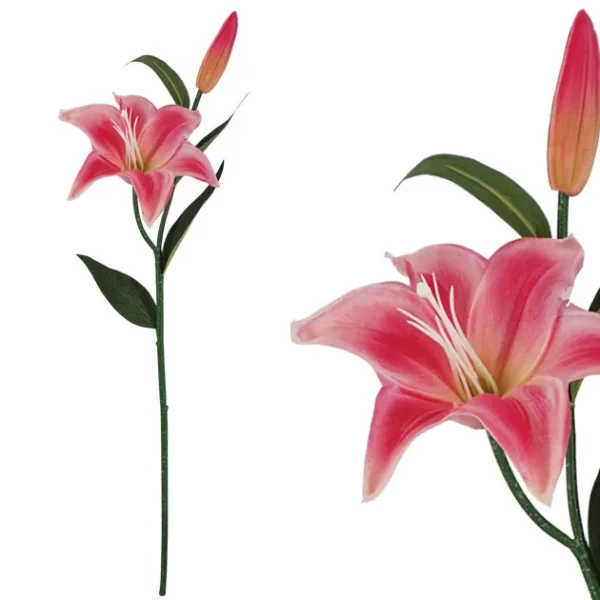 ΚΛΑΔΙ ΛΙΛΙΟΥΜ ΦΟΥΞ REAL TOUCH 15x68cm. 24/288KIB