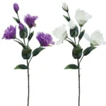 ΚΛΑΔΙ ΥΒΙΣΚΟΣ  ΑSS (ΕΚΡΟΥ, ΜΩΒ) Y65cm. 24/120KIB