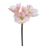 ΚΛΑΔΙ  ΡΟΖ ΑΜΑΡΥΛΛΙΣ Y59cm. 24/120KIB