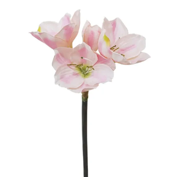 ΚΛΑΔΙ  ΡΟΖ ΑΜΑΡΥΛΛΙΣ Y59cm. 24/120KIB