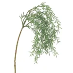 ΡΙΖΑ ΚΡΕΜΑΣΤΗ ΠΑΧΥΦΥΤΟ ΜΥΤΕΡΟ ΦΥΛΛΟ ANOIXTO ΠΡΑΣΙΝΟ 20x50/80cm 48/144ΚΙΒ