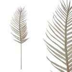 ΚΛΑΔΙ ΦΥΛΛΟ ΦΟΙΝΙΚΑΣ ΓΚΡΙ - Υ105cm 12/96KΙΒ