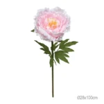 ΚΛΑΔΙ ΠΑΙΩΝΙΑ ΡΟΖ ΓΙΓΑΣ - Φ28x100cm 12/ΚΙΒ