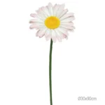 ΚΛΑΔΙ ΜΑΡΓΑΡΙΤΑ ΡΟΖ ΓΙΓΑΣ- Φ30x90cm 24/ΚΙΒ