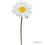 ΚΛΑΔΙ ΜΑΡΓΑΡΙΤΑ ΛΕΥΚΟ ΓΙΓΑΣ - Φ30x90cm 24/ΚΙΒ