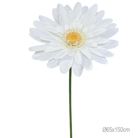 ΚΛΑΔΙ ΜΑΡΓΑΡΙΤΑ ΕΚΡΟΥ ΓΙΓΑΣ - Φ65x150cm 12/ΚΙΒ