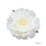 ΚΡΕΜΑΣΤΟ ΑΝΘΟΣ ΠΑΙΩΝΙΑ ΛΕΥΚΟ ΓΙΓΑΣ - Φ40cm 6/ΚΙΒ