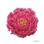 ΚΡΕΜΑΣΤΟ ΑΝΘΟΣ ΠΑΙΩΝΙΑ ΦΟΥΞ ΓΙΓΑΣ - Φ40cm 6/ΚΙΒ