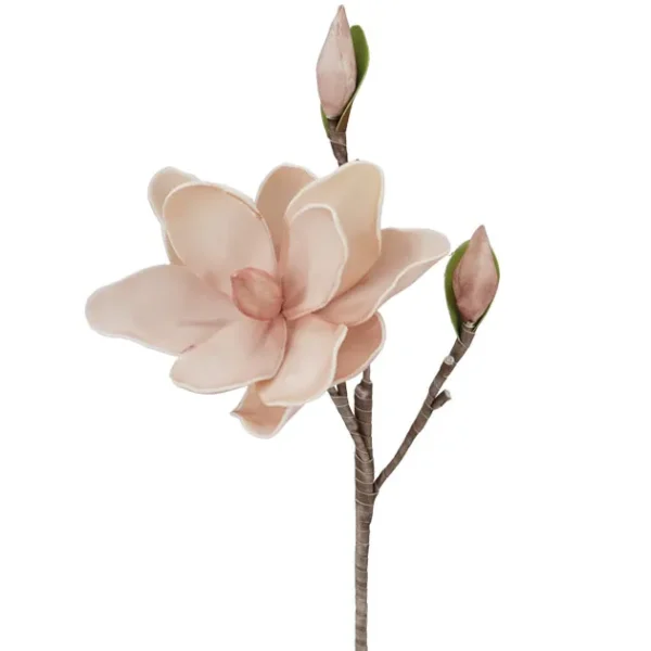 FOAM ΣΟΜΟΝ ΜΑΝΩΛΙΑ Υ48cm 24/240ΚΙΒ