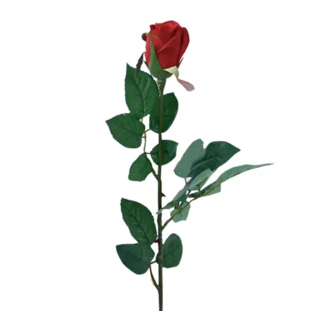 ΚΛΑΔΙ ΜΠΑΚΑΡΑΣ ΜΠΟΥΜΠΟΥΚΙ ΚΟΚΚΙΝΟ MONO Y64cm. 48/576KIB