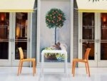 MAYA ΚΑΡΕΚΛΑ ORANGE(22)ΠΟΛ/ΝΙΟΥ - ΠΟΛΥΠΡΟΠΥΛΕΝΙΟ - ORANGE