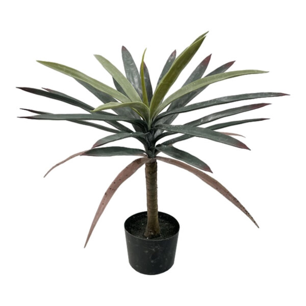 Διακοσμητικό φυτό Dracaena palm σε γλάστρα Inart πράσινο pp Υ62εκ