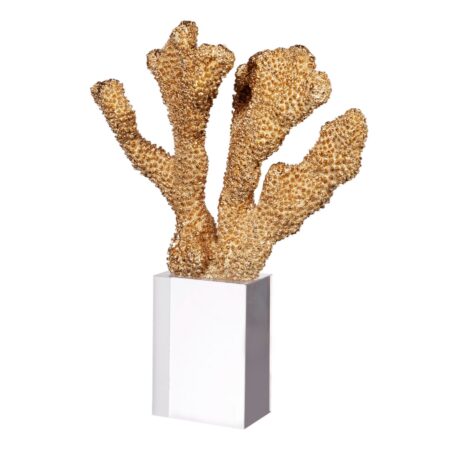 Artekko Coral Χρυσό Διακοσμητικό Κοράλλι Ρητίνης σε Γυάλινη Βάση (21x9x29)cm