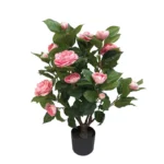 ΔΕΝΤΡΟ ΚΑΜΕΛΙΑ ΕΚΡΟΥ ΣΕ ΓΛΑΣΤΡΑ - Y75cm 4/KIB