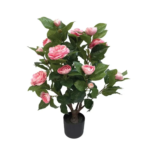 ΔΕΝΤΡΟ ΚΑΜΕΛΙΑ ΕΚΡΟΥ ΣΕ ΓΛΑΣΤΡΑ - Y75cm 4/KIB