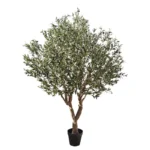 ΔΕΝΤΡΟ ΕΛΙΑΣ ΣΕ ΓΛΑΣΤΡΑ ΣΥΝΑΡΜΟΛΟΓΟΥΜΕΝΟ - Υ250cm 1/KIB