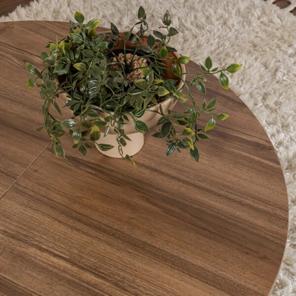 Τραπεζάκι σαλονιού σετ 2 τμχ Moira Megapap χρώμα καρυδί Ø90x41εκ.