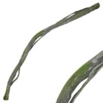 ΚΛΑΡΑ ΚΑΦΕ/ΠΡΑΣΙΝΟ ΜΕ ΒΡΥΑ & ΕΞΤΡΑ ΦΛΟΙΟ ΕΥΚΑΜΠΤΗ - Υ180cm 24/96KIB