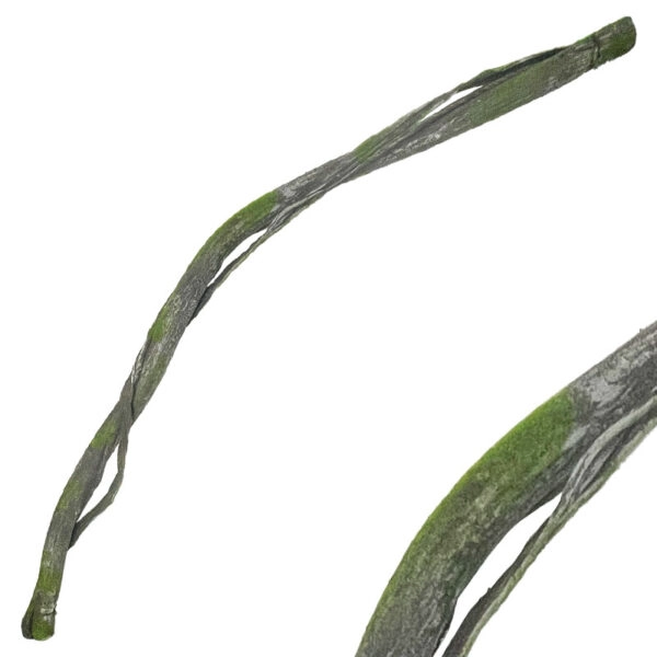 ΚΛΑΡΑ ΚΑΦΕ/ΠΡΑΣΙΝΟ ΜΕ ΒΡΥΑ & ΕΞΤΡΑ ΦΛΟΙΟ ΕΥΚΑΜΠΤΗ - Υ180cm 24/96KIB