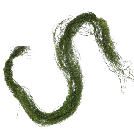 ΚΡΕΜΑΣΤΗ ΡΙΖΑ ΒΡΥΑ ΑΝΟΙΧΤΟ ΠΡΑΣΙΝΟ - Υ122cm 24/96KIB