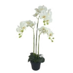 ΦΥΤΟ ΟΡΧΙΔΕΑ ΛΕΥΚΑ ΑΝΘΗ REAL TOUCH ΣΕ ΚΑΣΠΩ - Υ82cm 2/8ΚΙΒ