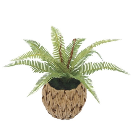 ΦΤΕΡΗ ΣΕ ΠΛΕΚΤΟ ΠΛΑΣΤΙΚΟ ΚΑΛΑΘΙ  ΚΑΦΕ-ΠΡΑΣΙΝΟ - Υ30cm 6/48ΚΙΒ