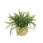 ΦΤΕΡΗ ΣΕ ΠΛΕΚΤΟ ΚΑΛΑΘΙ ΜΠΕΖ-ΠΡΑΣΙΝΟ Φ45x30cm 6/ΚΙΒ