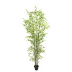 ΔΕΝΤΡΟ ΜΠΑΜΠΟΥ REAL TOUCH ΣΕ ΓΛΑΣΤΡΑ - Y270cm 2/ΚΙΒ