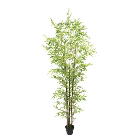 ΔΕΝΤΡΟ ΜΠΑΜΠΟΥ REAL TOUCH ΣΕ ΓΛΑΣΤΡΑ - Y270cm 2/ΚΙΒ