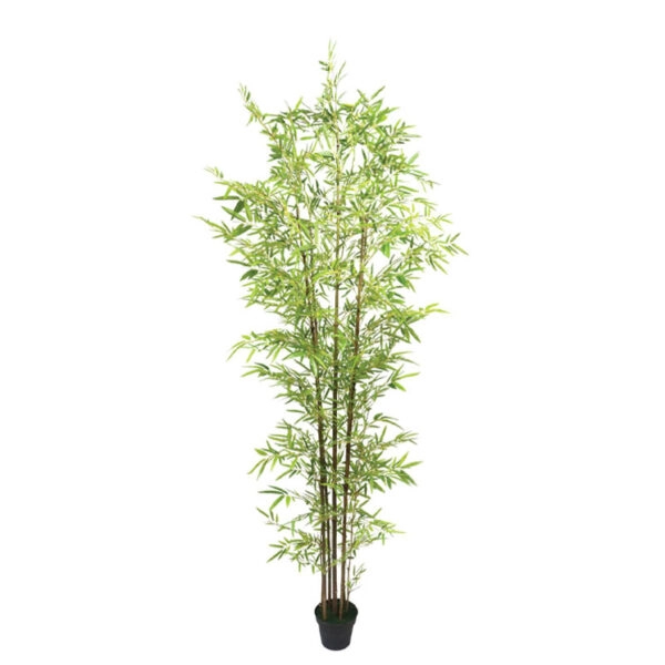 ΔΕΝΤΡΟ ΜΠΑΜΠΟΥ REAL TOUCH ΣΕ ΓΛΑΣΤΡΑ - Y270cm 2/ΚΙΒ