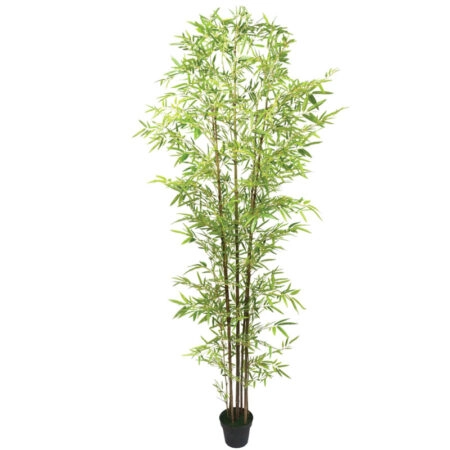 ΔΕΝΤΡΟ ΜΠΑΜΠΟΥ REAL TOUCH ΣΕ ΓΛΑΣΤΡΑ - Y300cm 2/ΚΙΒ