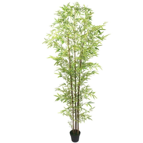 ΔΕΝΤΡΟ ΜΠΑΜΠΟΥ REAL TOUCH ΣΕ ΓΛΑΣΤΡΑ - 120x110x300cm 2/ΚΙΒ