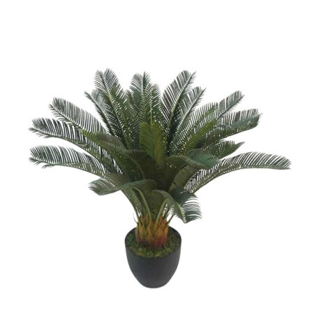 ΔΕΝΤΡΟ ΚΥΚΑΣ ΣΕ ΓΛΑΣΤΡΑ - Y72cm 4/ΚΙΒ