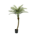 ΔΕΝΤΡΟ ΦΟΙΝΙΚΑΣ REAL TOUCH ΣΕ ΓΛΑΣΤΡΑ - 155cm 4/ΚΙΒ