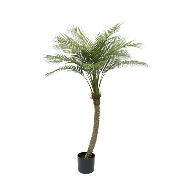 ΔΕΝΤΡΟ ΦΟΙΝΙΚΑΣ REAL TOUCH ΣΕ ΓΛΑΣΤΡΑ - 155cm 4/ΚΙΒ