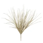 ΡΙΖΑ ΧΡΥΣΟ ΓΚΡΑΣΣ ΚΡΕΜΜΥΔΙΟΥ - Φ30x50cm 12/96ΚΙΒ