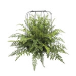 ΚΡΕΜΑΣΤΗ ΦΤΕΡΗ ΠΡΑΣΙΝΗ ΣΕ ΜΕΤΑΛΛΙΚΗ ΒΑΣΗ - Φ66x68cm 4/ΚΙΒ