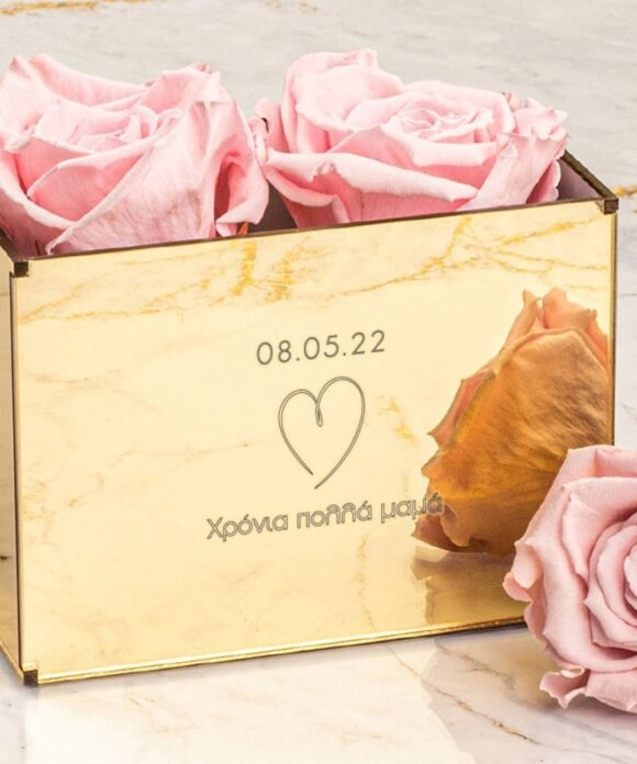 Παντοτινά Αποχυμωμένα Τριαντάφυλλα 2τεμ σε ροζ