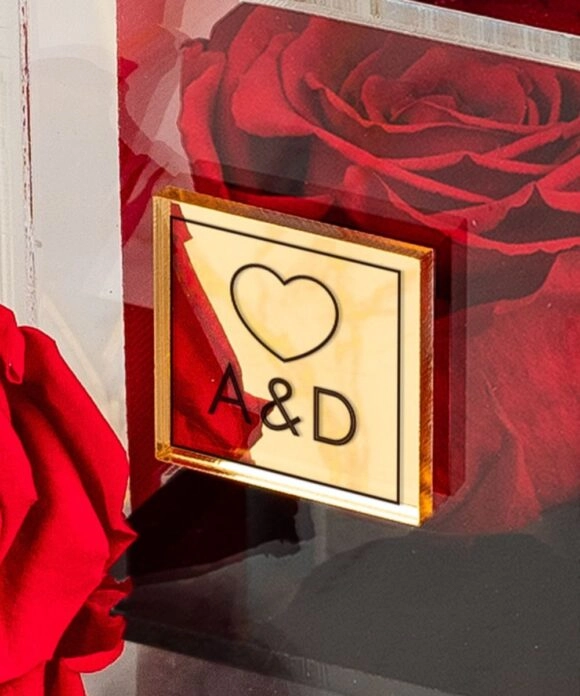 Παντοτινό Τριανταφυλλο σε κόκκινο χρώμα, Forever Rose Red