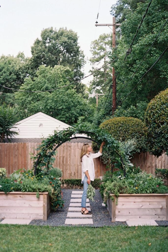 Μοντέρνα ξύλινα παρτέρια κήπου με μεταλλική αψίδα και φυτά