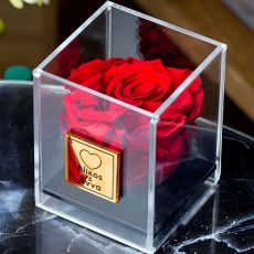 Παντοτινό Τριανταφυλλο σε κόκκινο χρώμα Forever Rose Red