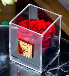 Παντοτινό Τριανταφυλλο σε κόκκινο χρώμα Forever Rose Red